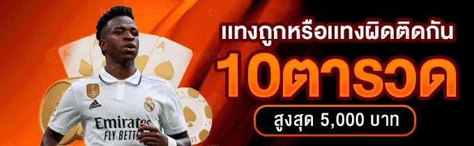 ฟีเจอร์เด่น